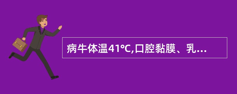 病牛体温41℃,口腔黏膜、乳房皮肤出现水疱、烂斑。病牛蹄壳脱落,跛行,死亡率低,