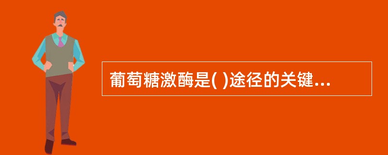 葡萄糖激酶是( )途径的关键酶。A、磷酸戊糖途径B、糖异生途径C、糖有氧氧化D、