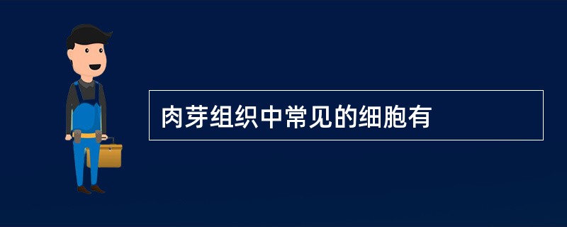 肉芽组织中常见的细胞有
