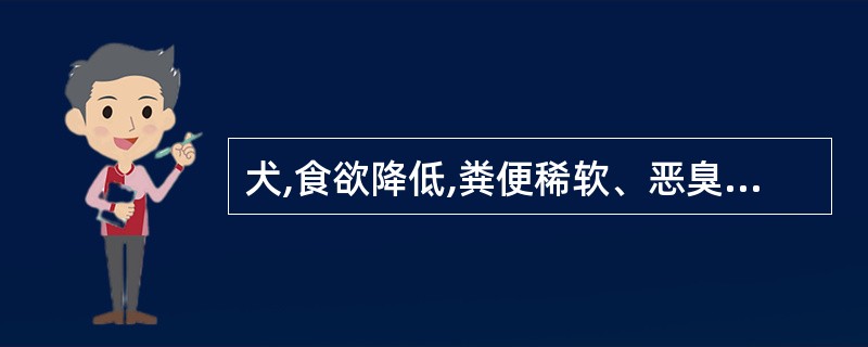 犬,食欲降低,粪便稀软、恶臭,尿色黄,皮肤及结膜黄染,触诊肝区疼痛,叩诊肝浊音区