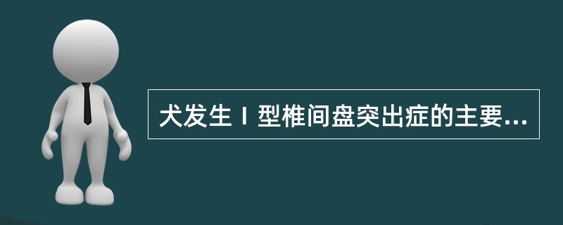 犬发生Ⅰ型椎间盘突出症的主要表现是A、四肢不对称性麻痹B、发病缓慢C、瘫痪D、运
