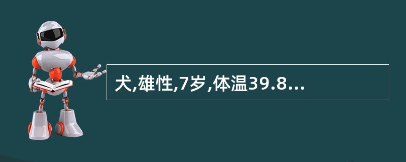 犬,雄性,7岁,体温39.8℃,精神差,无食欲,近两天下腹部略微增大,频频作痛苦