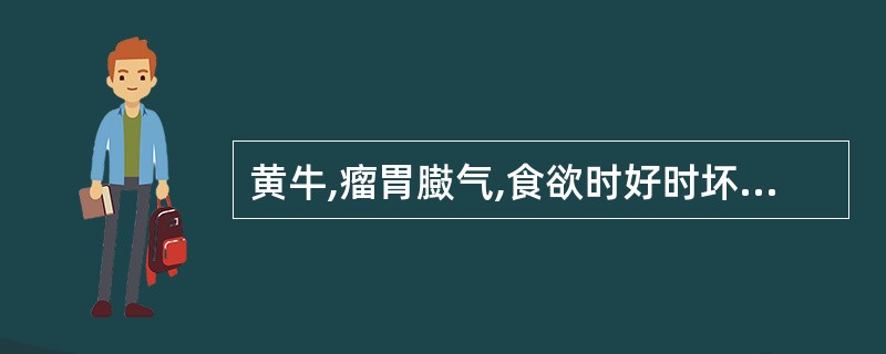 黄牛,瘤胃臌气,食欲时好时坏,体况不良,磨牙。粪便呈糊状,量减少。不见反刍,偶尔