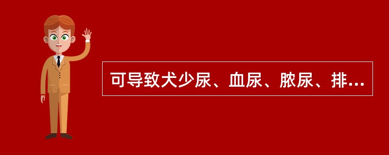 可导致犬少尿、血尿、脓尿、排尿困难,便秘、里急后重;触诊前列腺肿大、敏感的是