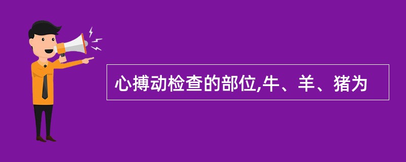 心搏动检查的部位,牛、羊、猪为