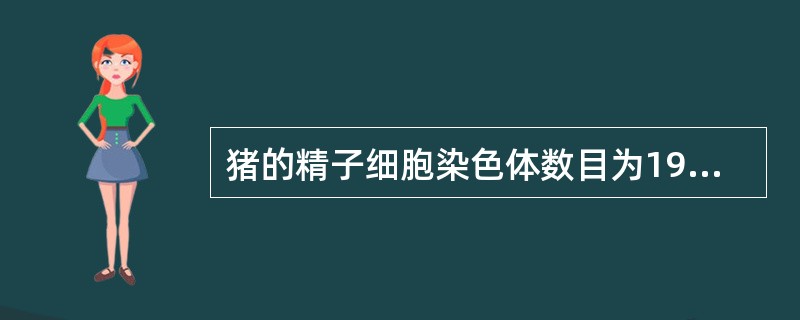 猪的精子细胞染色体数目为19条,则该猪正常小肠上皮细胞的染色体数目表示正确的是(