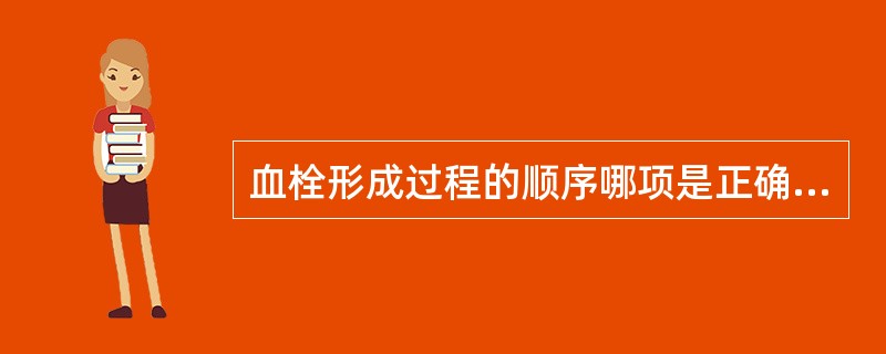 血栓形成过程的顺序哪项是正确的A、混合血栓、红血栓、白血栓B、红血栓、白血栓、混