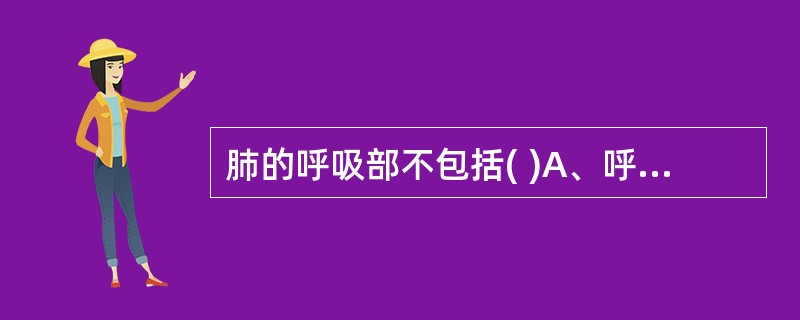 肺的呼吸部不包括( )A、呼吸性细支气管B、终末细支气管C、肺泡管D、肺泡囊E、