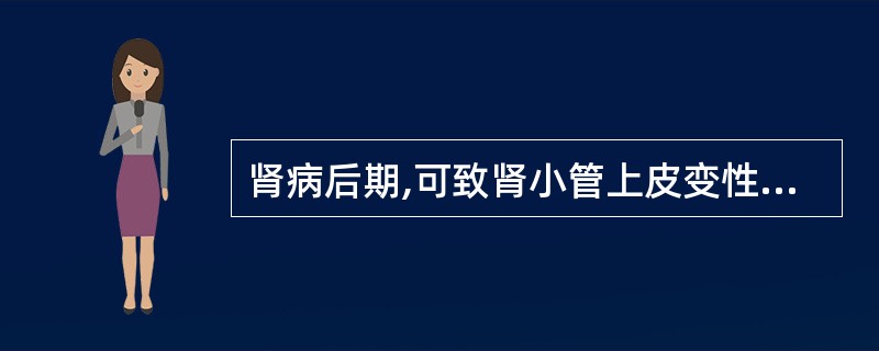 肾病后期,可致肾小管上皮变性、坏死,临诊特征性表现为A、无尿B、少尿C、多尿D、