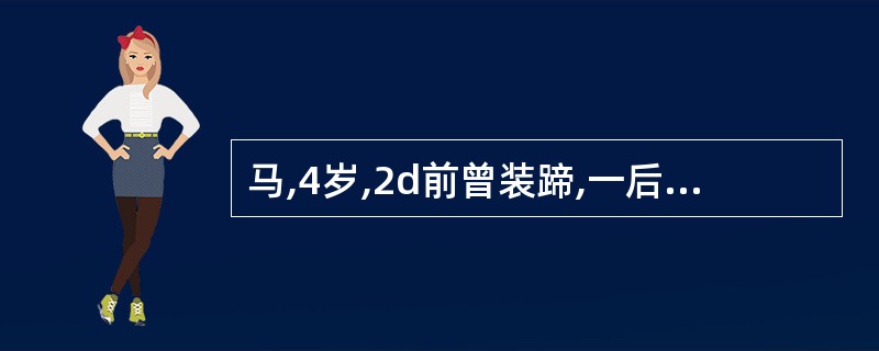 马,4岁,2d前曾装蹄,一后肢出现运步障碍,蹄温增高,趾动脉亢进,蹄钳压诊敏感,