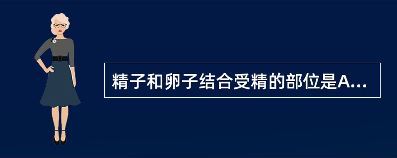 精子和卵子结合受精的部位是A、输卵管漏斗部B、输卵管峡部C、输卵管壶腹部D、子宫