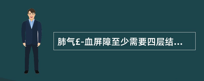 肺气£­血屏障至少需要四层结构,其中不包括A、肺泡上皮细胞B、肺泡上皮细胞基膜C