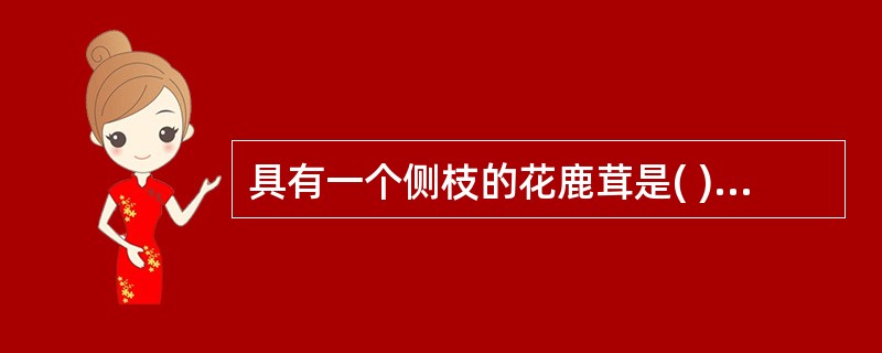 具有一个侧枝的花鹿茸是( )。A、二杠茸B、单杠茸C、三岔茸D、四岔茸E、大挺