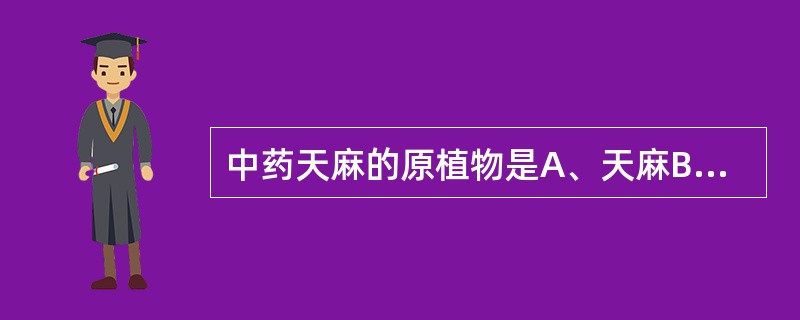 中药天麻的原植物是A、天麻B、苎麻C、白及D、天花粉E、一点红