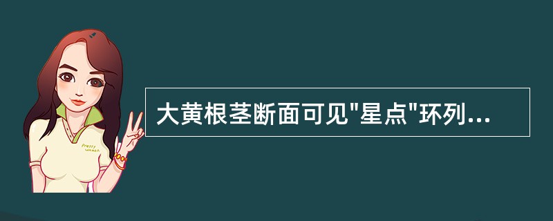 大黄根茎断面可见"星点"环列或散列,分布于A、韧皮部B、木质部C、皮层D、韧皮部