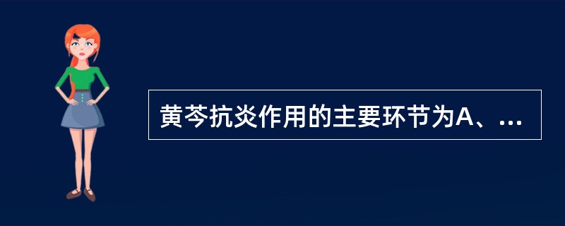 黄芩抗炎作用的主要环节为A、提高机体的免疫功能B、抑制炎性介质的生成和释放C、抑