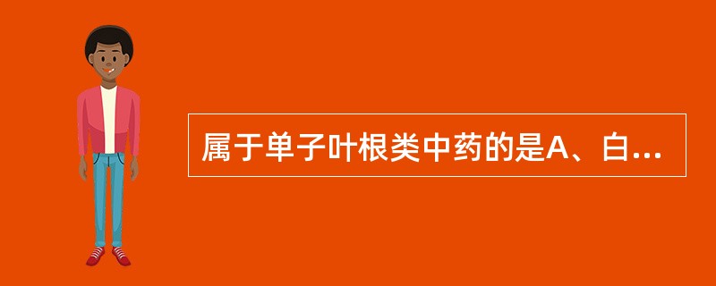 属于单子叶根类中药的是A、白术B、郁金C、天麻D、香附E、泽泻