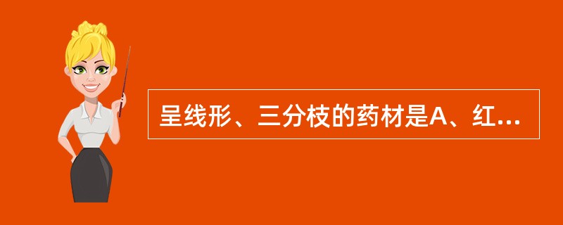 呈线形、三分枝的药材是A、红花B、芫花C、金银花D、西红花E、洋金花