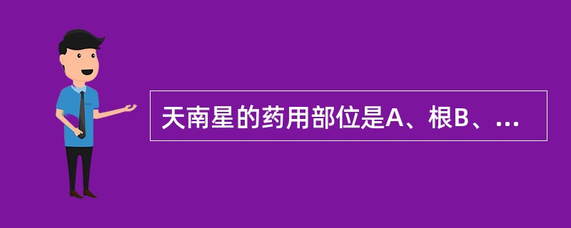 天南星的药用部位是A、根B、块根C、根茎D、块茎E、根及根茎