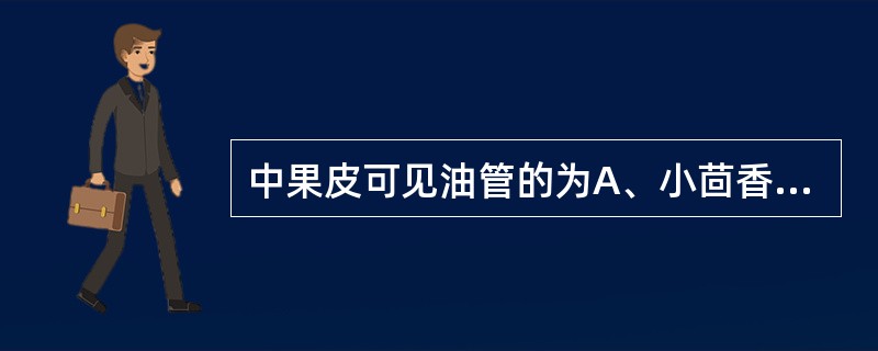 中果皮可见油管的为A、小茴香B、栀子C、连翘D、山楂E、枸杞子