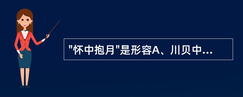 "怀中抱月"是形容A、川贝中青贝外层两鳞叶大小相近,相对抱合的形态B、川贝中松贝