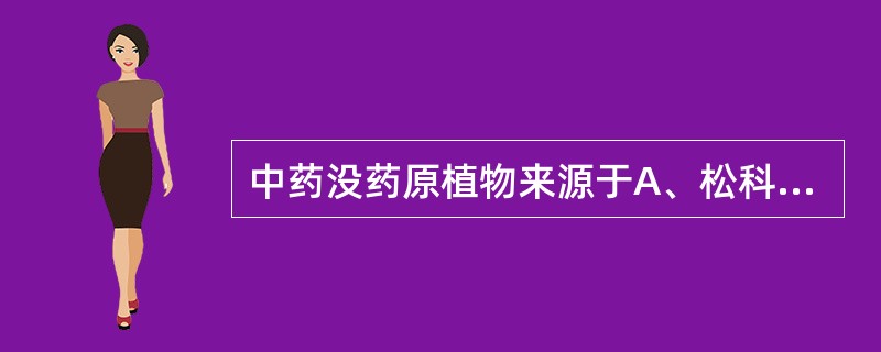 中药没药原植物来源于A、松科B、漆树科C、罂粟科D、橄榄科E、伞形科