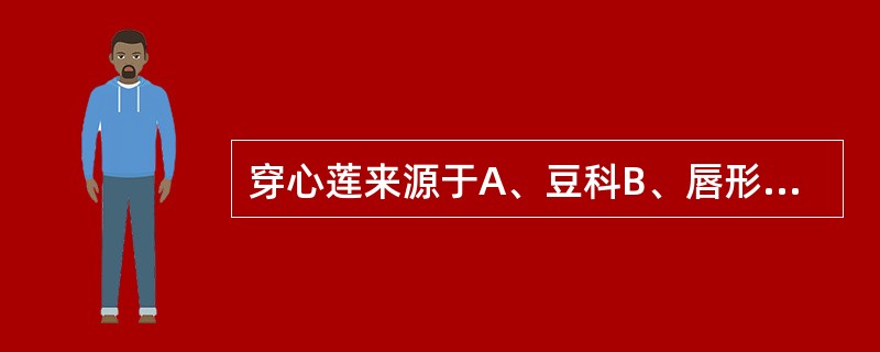 穿心莲来源于A、豆科B、唇形科C、菊科D、爵床科E、马鞭草科