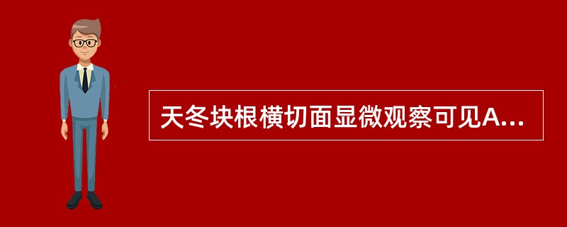 天冬块根横切面显微观察可见A、皮层外侧常有石细胞断续排列成环B、皮层内侧常有石细