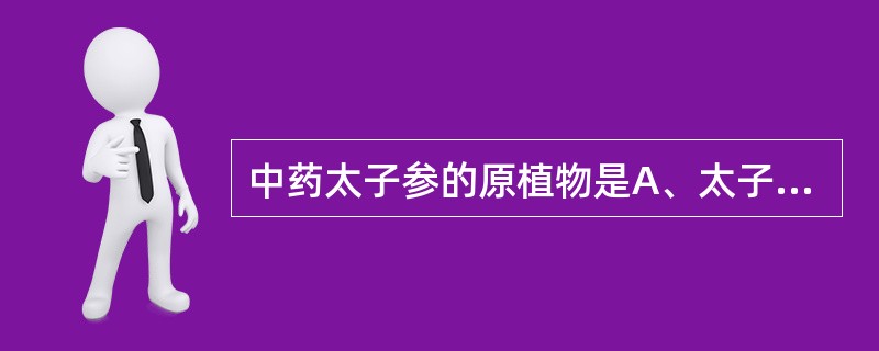 中药太子参的原植物是A、太子参B、孩儿参C、土人参D、土党参E、南沙参