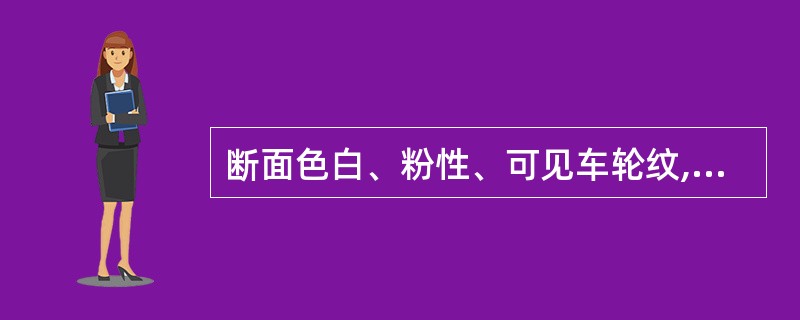 断面色白、粉性、可见车轮纹,纵剖面呈弯曲筋脉纹的药材是A、茯苓B、粉葛C、粉防己