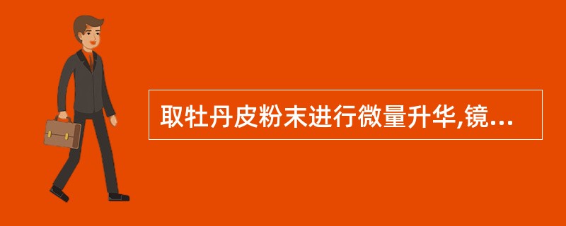 取牡丹皮粉末进行微量升华,镜检可见A、黄色针状、片状或羽毛状结晶B、长柱形、针状