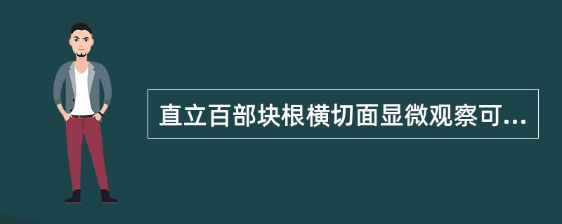 直立百部块根横切面显微观察可见韧皮部束A、5~13个B、7~15个C、16~22