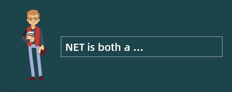 NET is both a business strategy from Mic