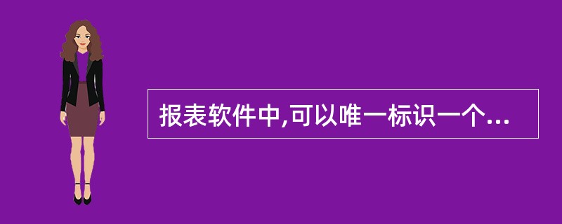 报表软件中,可以唯一标识一个表页的标志是( )