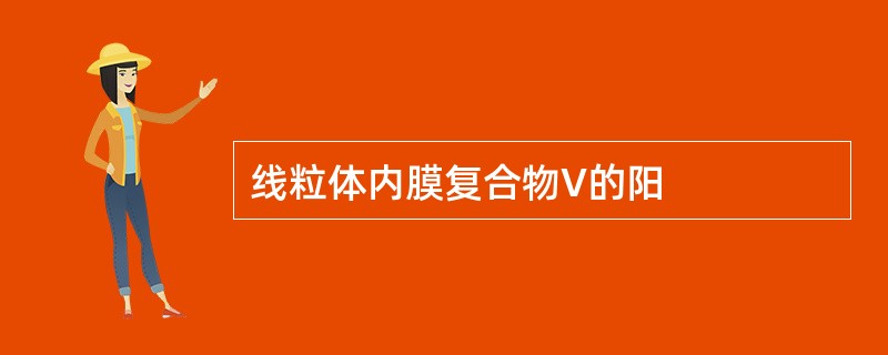 线粒体内膜复合物V的阳