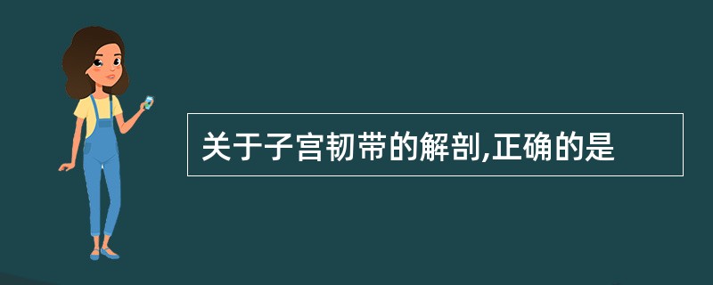 关于子宫韧带的解剖,正确的是