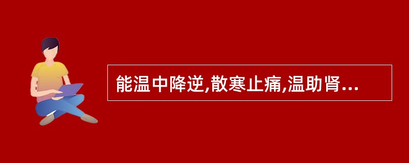 能温中降逆,散寒止痛,温助肾阳的药物是A、干姜B、丁香C、肉桂D、高良姜E、附子