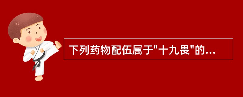 下列药物配伍属于"十九畏"的是A、乌头与半夏B、官桂与赤石脂C、甘草与芫花D、川