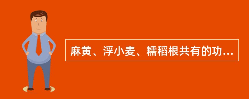 麻黄、浮小麦、糯稻根共有的功效是A、益气除热B、益胃生津C、固表止汗D、补肾宁心