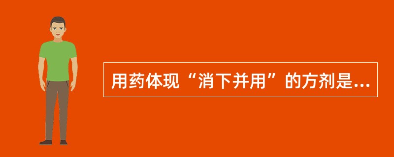 用药体现“消下并用”的方剂是A、保和丸B、健脾丸C、枳实消痞丸D、枳实导滞丸E、