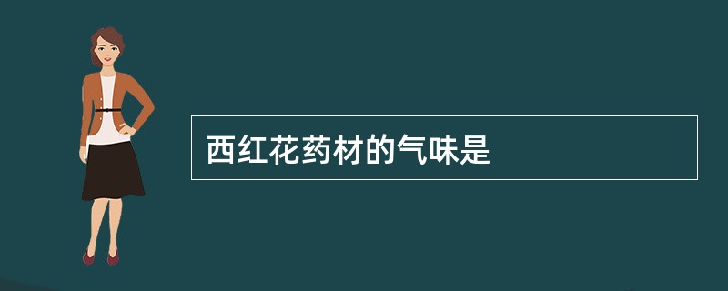 西红花药材的气味是