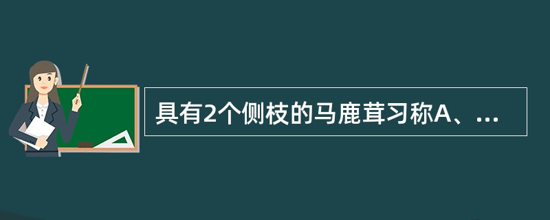 具有2个侧枝的马鹿茸习称A、单门B、二杠C、二岔D、莲花E、大挺