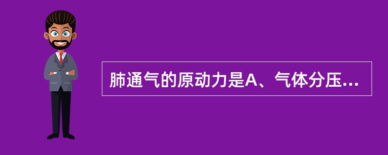 肺通气的原动力是A、气体分压差B、肺内压的变化C、胸膜腔内压的变化D、肺本身的舒