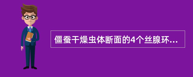 僵蚕干燥虫体断面的4个丝腺环,俗称A、星点B、亮点C、亮圈D、金井玉栏E、念珠斑