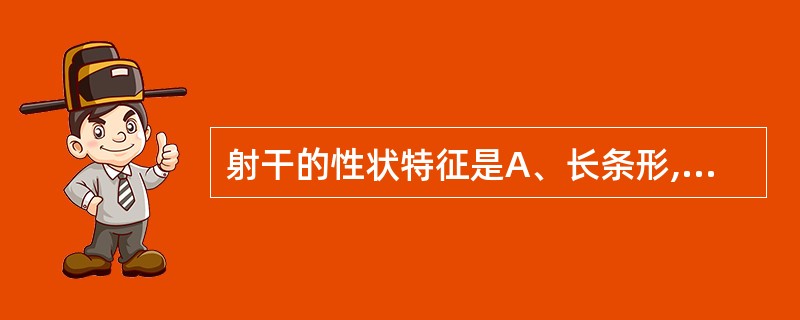 射干的性状特征是A、长条形,表面黄棕色,具有黄棕色叶残基B、纺锤形,表面灰黄色,