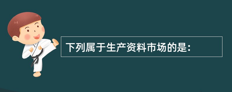 下列属于生产资料市场的是: