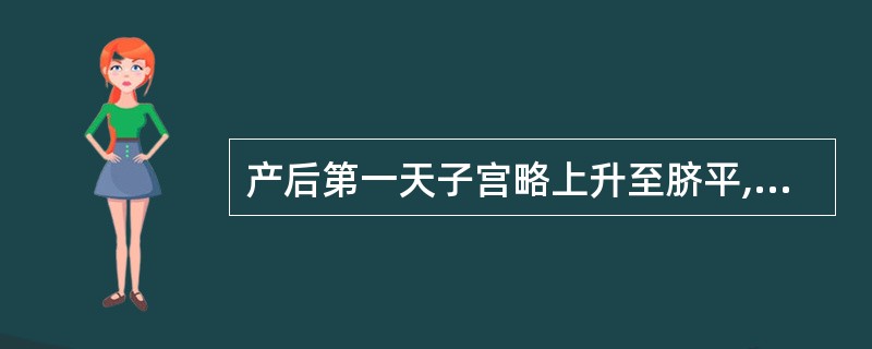 产后第一天子宫略上升至脐平,以后每日下降(),产后10日左右降至骨盆腔。A、1£