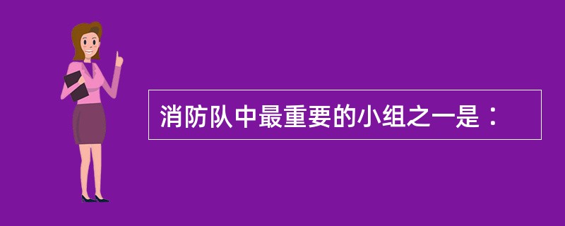 消防队中最重要的小组之一是∶