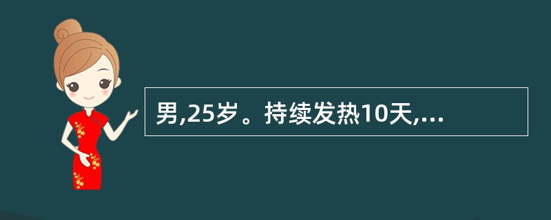 男,25岁。持续发热10天,开始为38℃左右,5天后持续高热39℃~40~C,伴