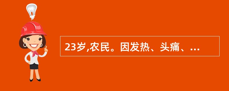 23岁,农民。因发热、头痛、全身酸痛、软弱无力一周于9月4日人院。当天起出现心慌